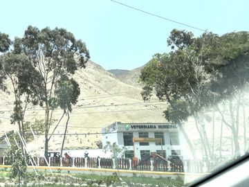 place photo 35