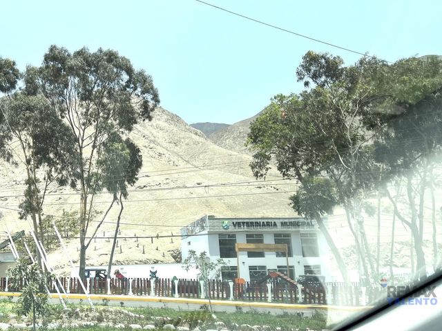 place photo 35