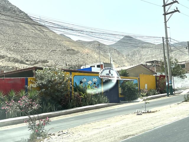 place photo 36