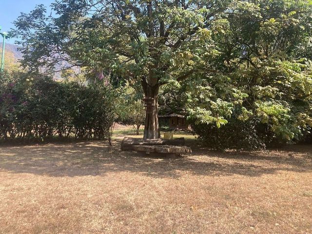 place photo 29