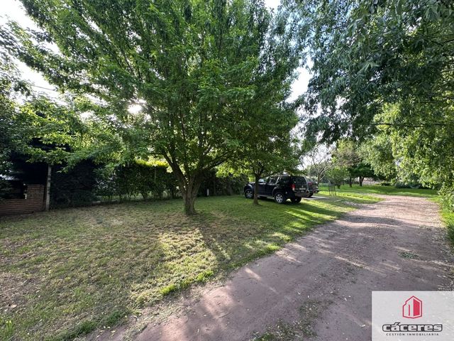 place photo 28