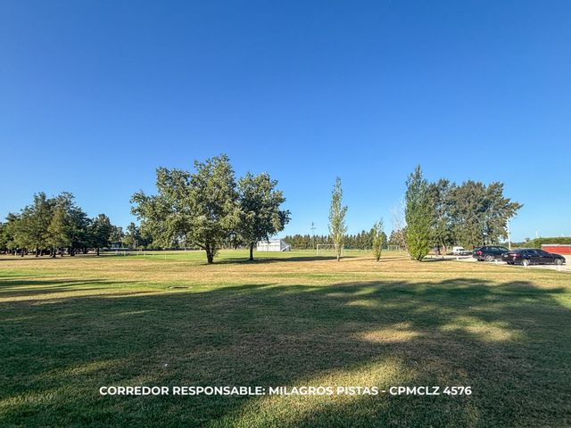 place photo 28