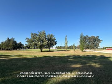place photo 28
