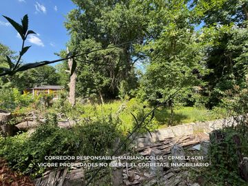 place photo 23