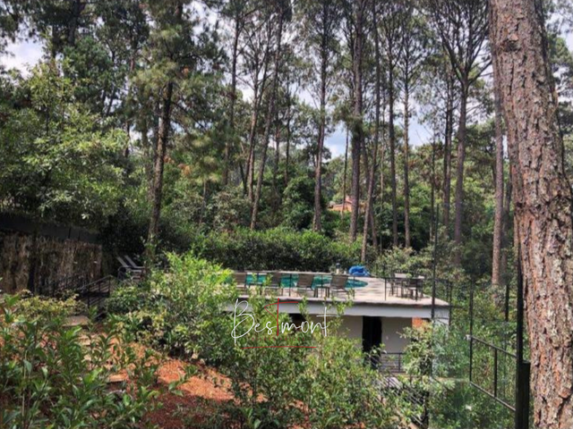 place photo 20