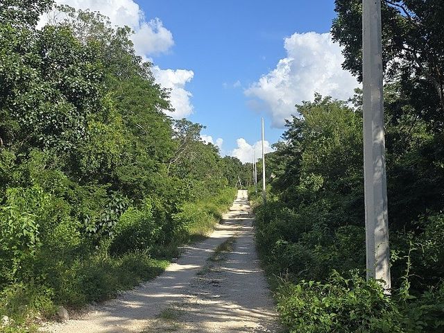 place photo 1