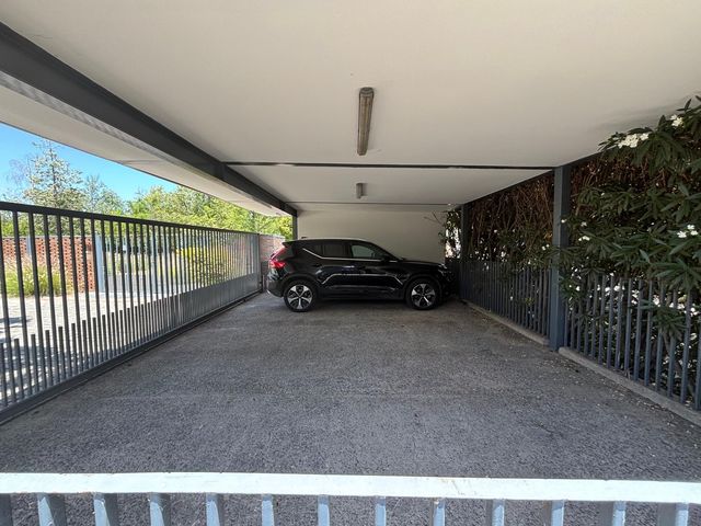 place photo 30