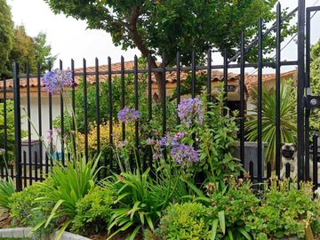 place photo 24