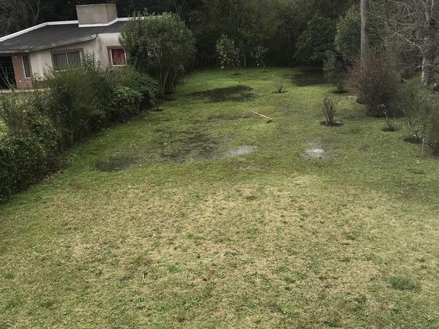 place photo 16