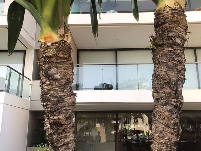 place photo 29