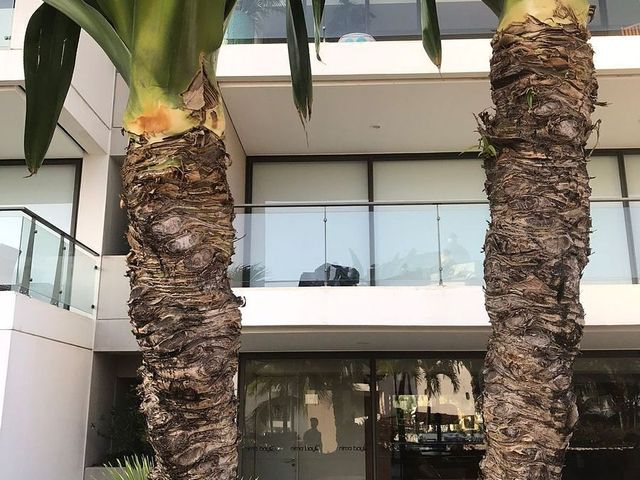 place photo 34
