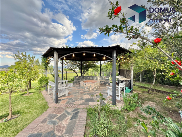 place photo 34
