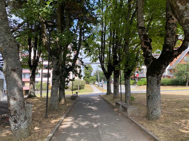 place photo 21
