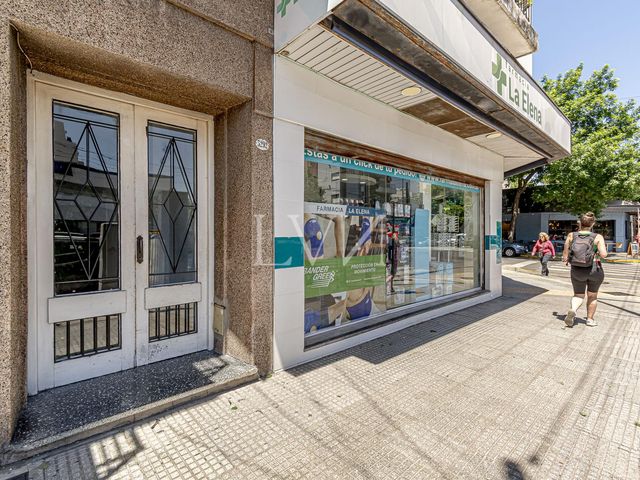place photo 26
