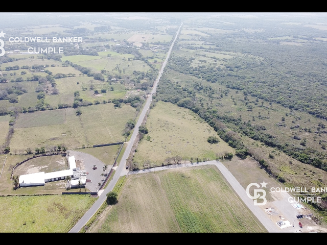 place photo 13