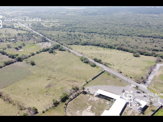 place photo 9