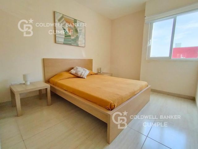 place photo 39