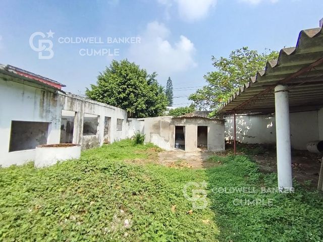 place photo 17