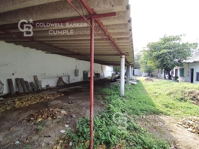 place photo 20