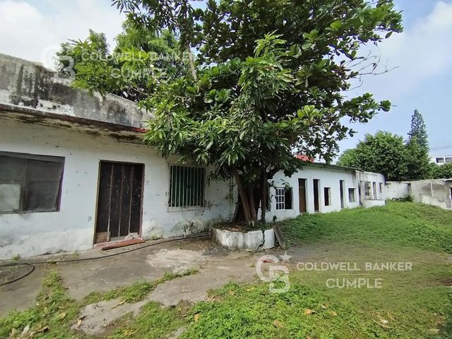 place photo 15