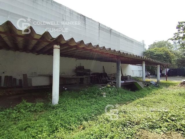 place photo 21