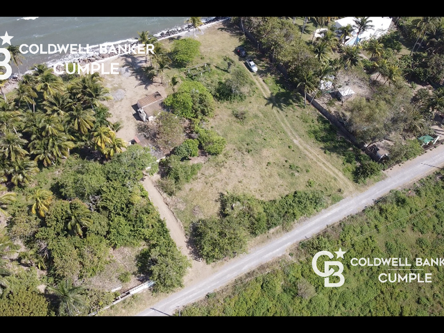 place photo 10