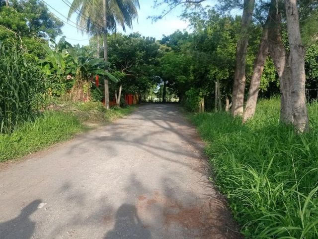 place photo 5