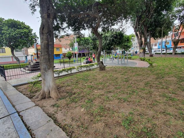 place photo 11