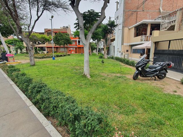 place photo 14