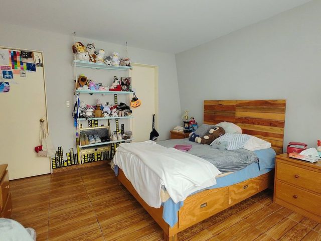 place photo 19