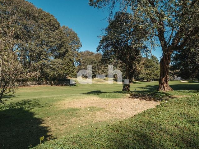 place photo 49