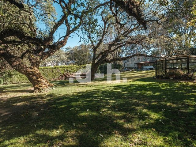 place photo 45