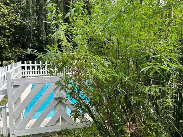 place photo 38