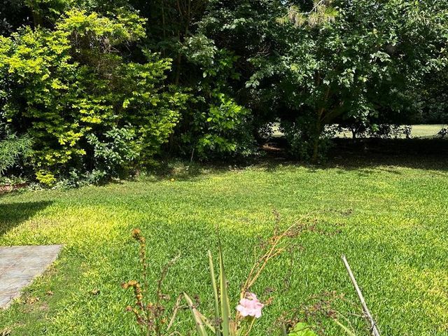 place photo 40