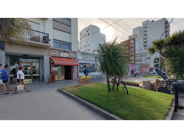 place photo 17