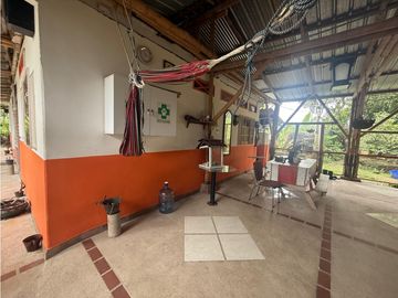 place photo 44