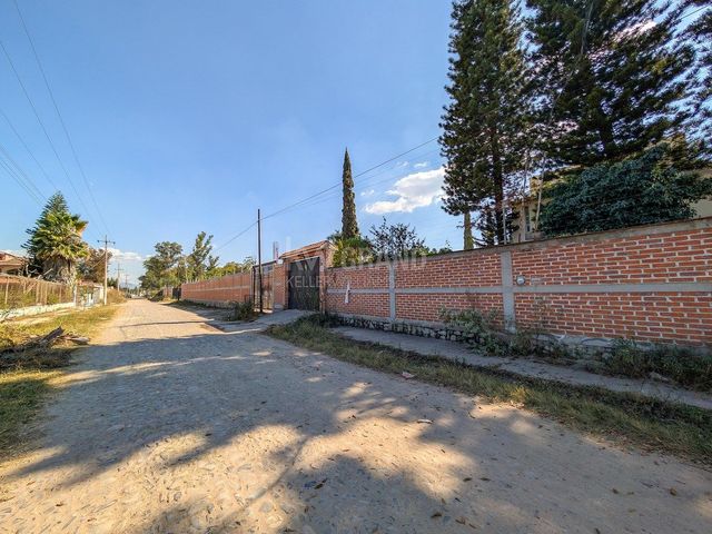 place photo 40