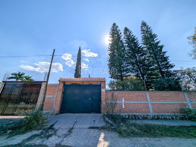 place photo 39