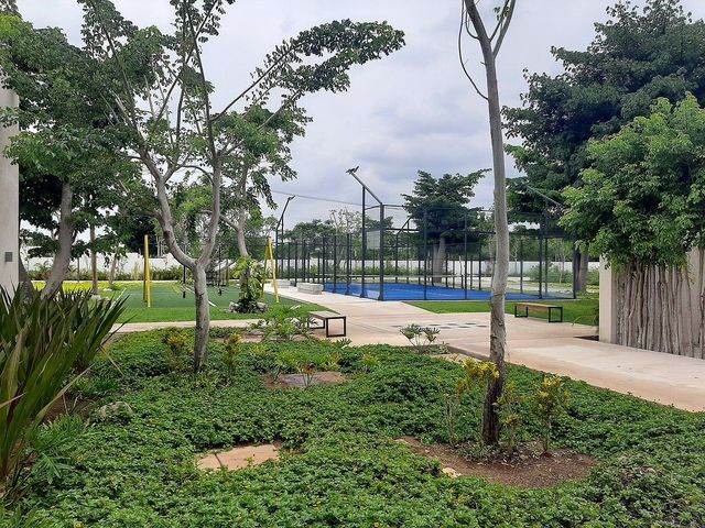 place photo 11