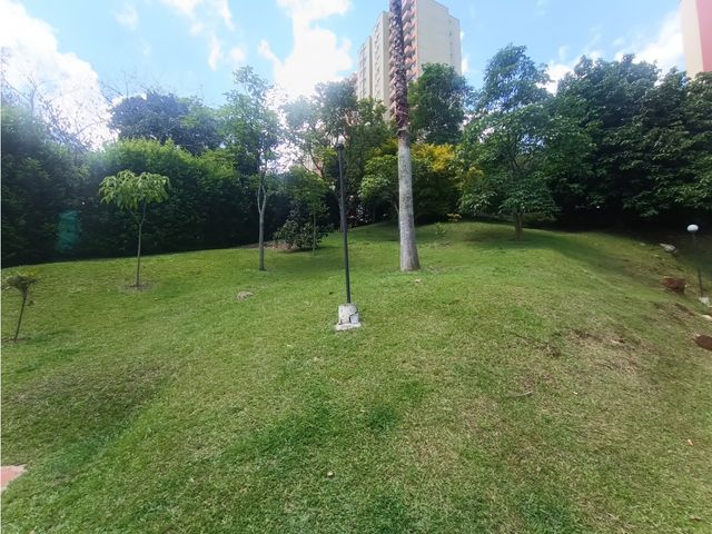 place photo 40