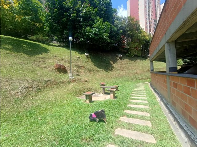 place photo 38
