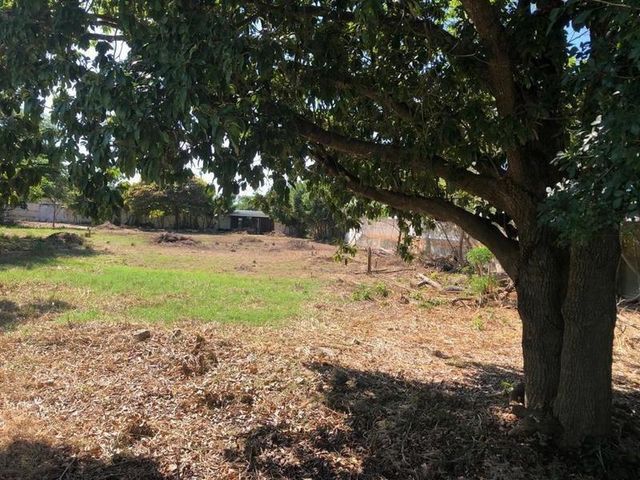 place photo 11
