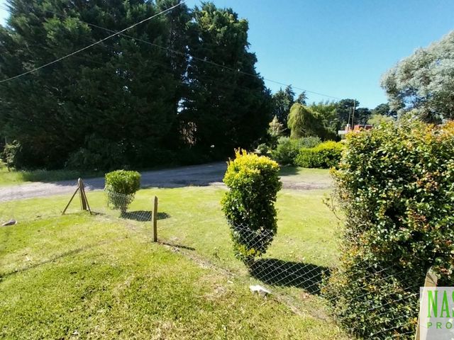 place photo 41