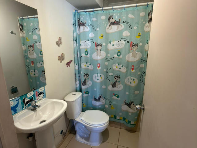 place photo 23