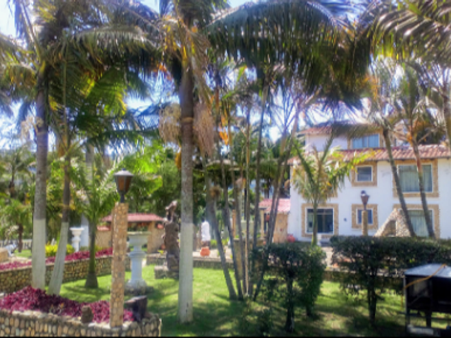 place photo 22