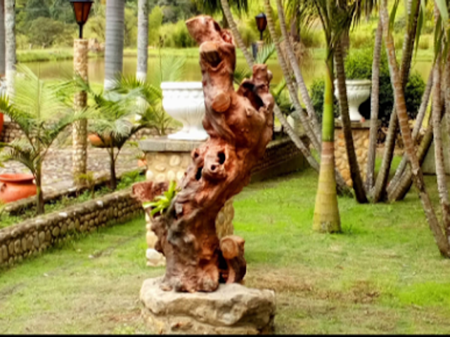 place photo 11