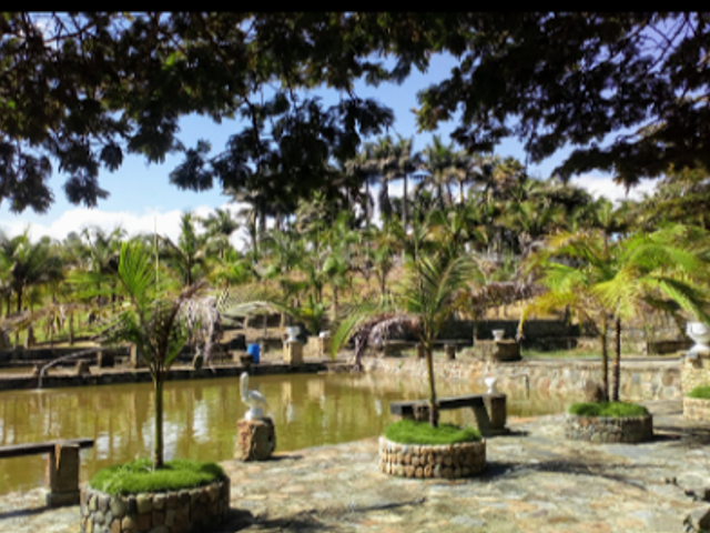 place photo 12