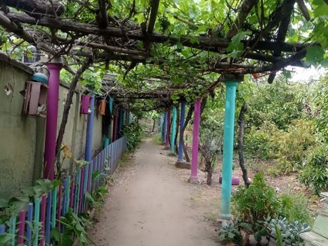 place photo 15