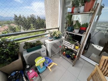 place photo 26