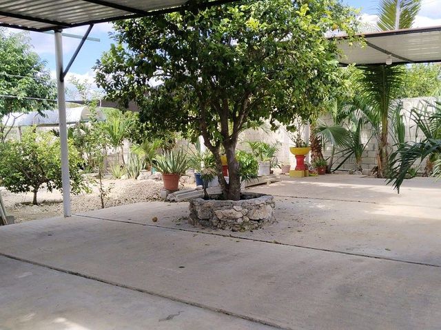 place photo 15